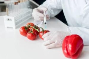 Satu Jaatinen GMO Vieraskynä
